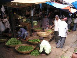 green fruit on the market in India