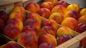 peach fruit market