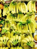 clusters of bananas on market stand