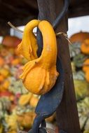 funny pumpkin decoration