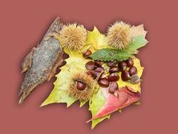 sweet chestnuts in decorating