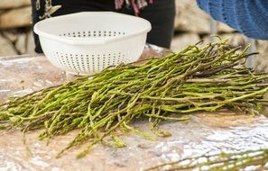 wild asparagus on the table