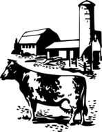cow black drawing