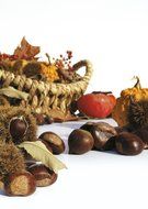 chestnuts in a basket