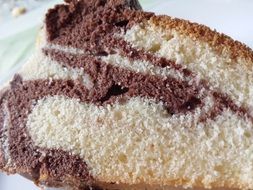 piece of marble cake close up