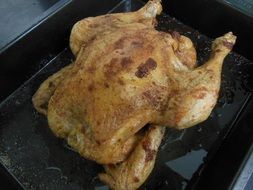 baked chicken in the oven