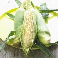 corn with green leaves lies on a plate