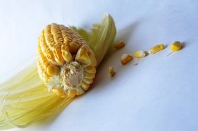 corn maize vegetables
