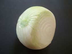 aromatic sliced onion