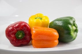 Four multi-colored pepper on a white plate