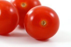 fresh tomatoes on the table