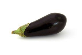 eggplant is an edible fruit