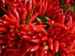 sharp red chili peppers