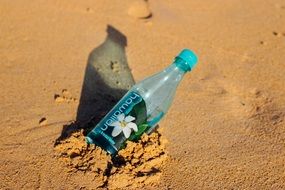 Bottle on sunny sand beach