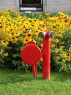 red fire hydrant pipe outdoors
