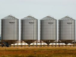 containers for wheat storage