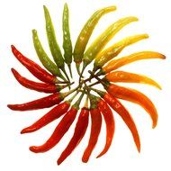 multi colored pods of chili pepper