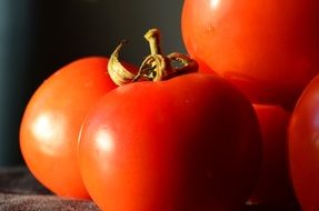 fresh tomatoes for salad