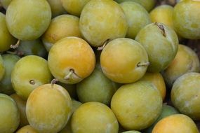 Fresh Yellow green plums close-up