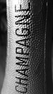 inscription champagne on the neck of the bottle close-up