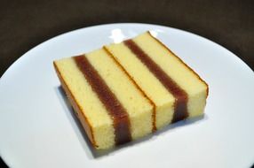 japanese sponge cake on white plate