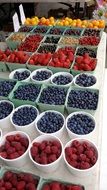 healthy organic berries on white plates