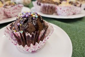 chocolate cupcake with colored sprinkles