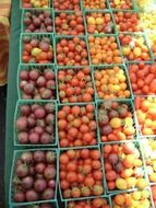 Boxes with tomatoes on the market