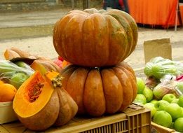 Squash in the market