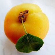 big juicy apricot with green leaf