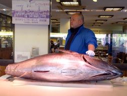 fresh tuna fish in the wholesale center