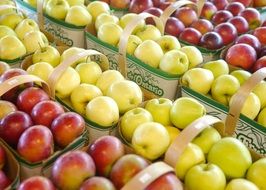 red and yellow apples in baskets