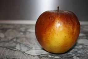 apple on a gray background