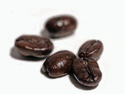 Brown coffee beans on the white table
