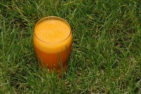 glass of carrot juice on the grass