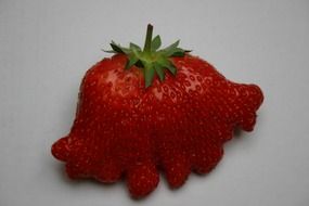 yummy strawberry fruit