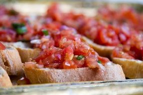 bruschetta appetizers with tomatoes and basil