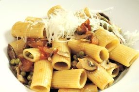 rigatoni pasta with mushrooms