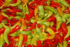 red and green spicy peppers