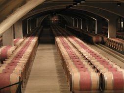 cellars with wine barrels