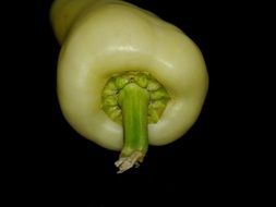 yellow pepper on a black background