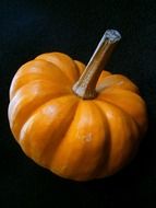 little orange pumpkin