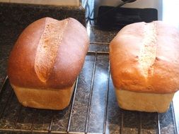 white bread on a rack