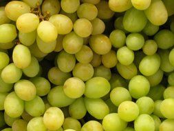 green grapes fruit