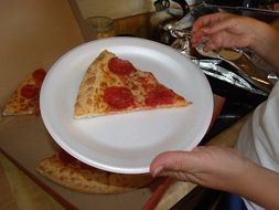 pepperoni pizza slice on white plate