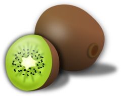 cut green kiwi drawing