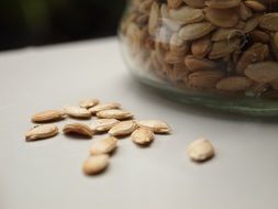 fresh and beautiful pumpkin seeds