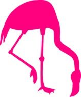 pink flamingo bird as a drawing