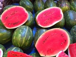oblong watermelon sectional