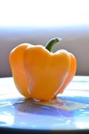 fresh and beautiful pepper yellow